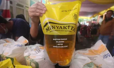 Plastik Dan Minyak Goreng Mahal, Ini Faktor Penyebabnya