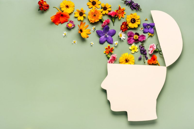 Mental Health Sangat Berpengaruh Signifikan Pada Seseorang